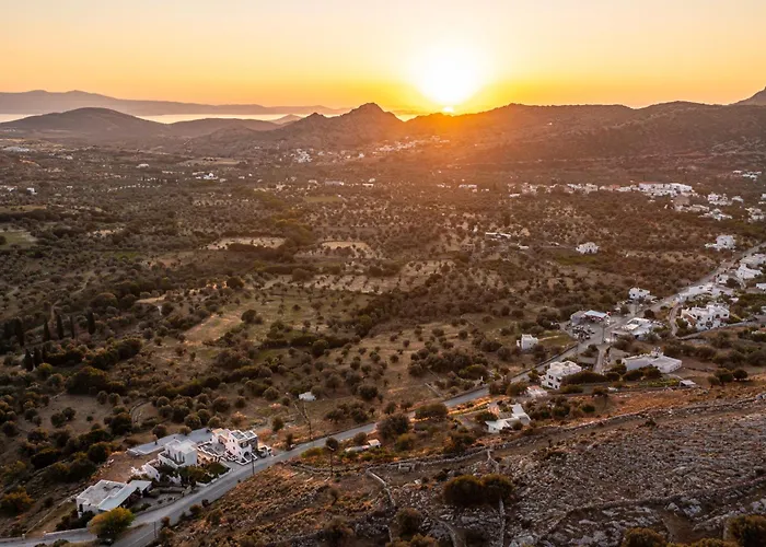 Hotel apartamentowy Alkema Horizon